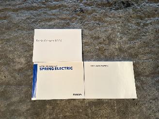 Dacia Spring  picture 21