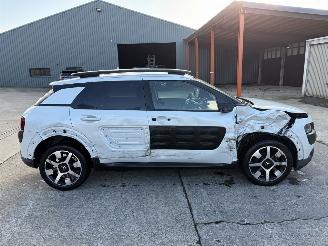 Citroën C4 cactus  picture 22