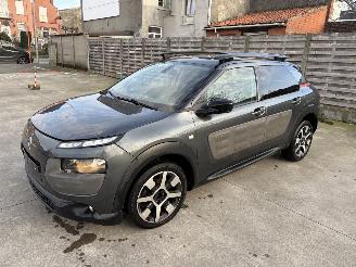  Citroën C4 cactus AUTOMATIC 2015/4