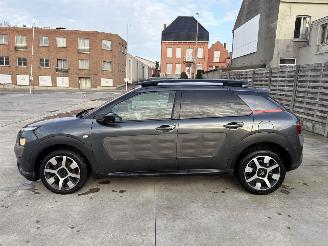 Citroën C4 cactus AUTOMATIC picture 24