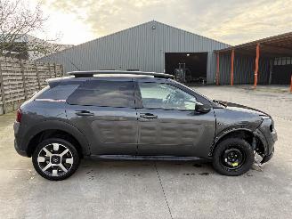 Citroën C4 cactus AUTOMATIC picture 23