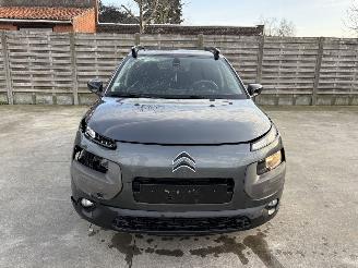 Citroën C4 cactus AUTOMATIC picture 20