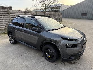 Citroën C4 cactus AUTOMATIC picture 2