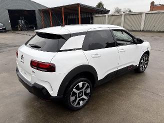 Citroën C4 cactus 1.5 BLUE HDI - 16V TURBO picture 5