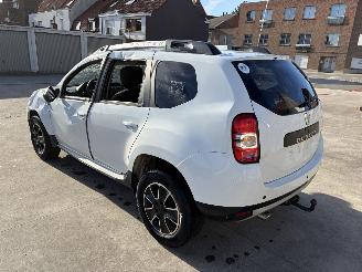Dacia Duster 4x4 picture 4