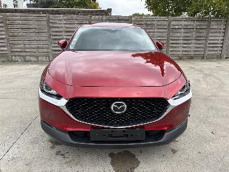 Mazda CX-30 1 2.0i - 16V TURBO HYBRID picture 19