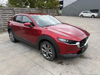 uszkodzony samochody osobowe Mazda CX-30 1 2.0i - 16V TURBO HYBRID 2019/12