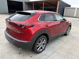 Mazda CX-30 1 2.0i - 16V TURBO HYBRID picture 5