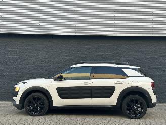 Citroën C4 cactus 1.2 e-VTi Shine picture 7