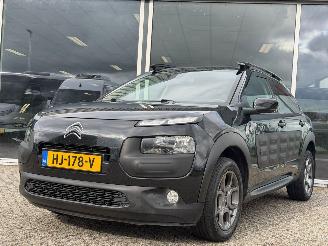 Citroën C4 cactus 1.2 PureTech Shine picture 7