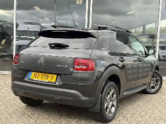 Citroën C4 cactus 1.2 PureTech Shine picture 4