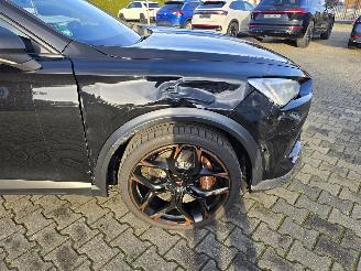 Cupra Formentor VZ 287 kW picture 13