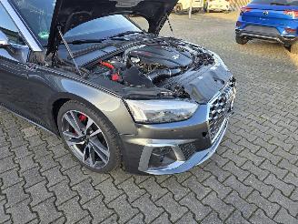 Audi  S5 CABRIO picture 15