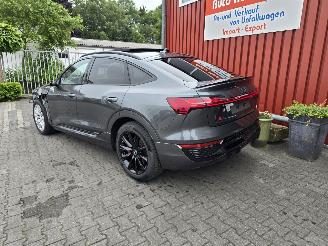 Audi Q8 E-TRON 114 kW aH picture 2