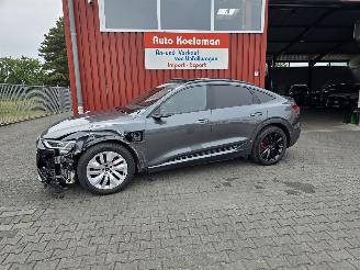Audi Q8 E-TRON 114 kW aH picture 4