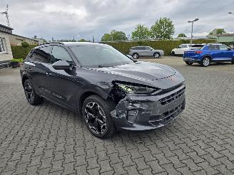 Cupra Terramar Hybride picture 4