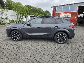 Cupra Terramar Hybride picture 13