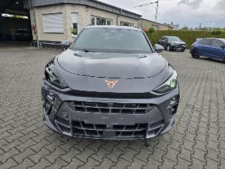 Cupra Terramar Hybride picture 18