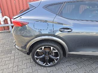 Cupra Formentor Hybride picture 13