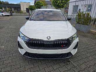 Skoda Octavia RS 195 kW picture 22