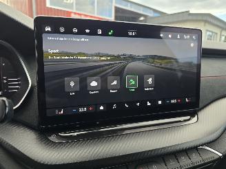 Skoda Octavia RS 195 kW picture 24