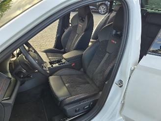 Skoda Octavia RS 195 kW picture 13