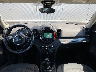 Mini Countryman 1.5 One Chili, Navi, Clima, PDC, Lm Velgen picture 18