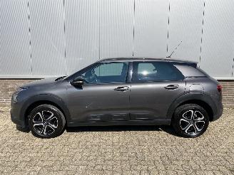 Citroën C4 cactus Android/Apple, Climate, Parkeersensor V/A picture 2