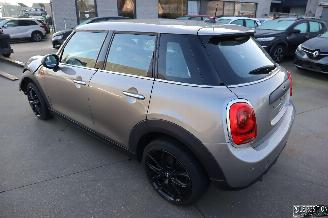 Mini One 1.5D picture 6