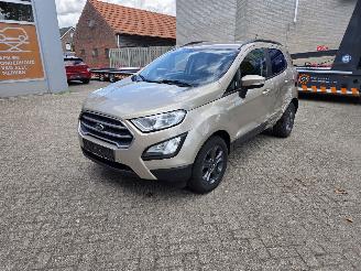 Unfallwagen Ford EcoSport 1000 TURBO 125 PK  69650 KM  FRISSE AUTO 2019/9