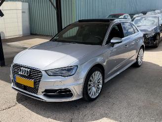 Voiture accidenté Audi A3 SPORTBACK E-TRON S line Pano Leder Keyless B&O Led 2015/12
