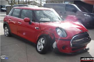 Mini One EXCITEMENT PEPPER II picture 2