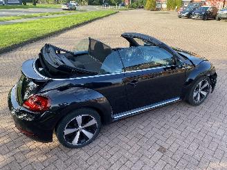 Volkswagen Beetle Cabriolet picture 9