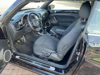Volkswagen Beetle Cabriolet picture 11