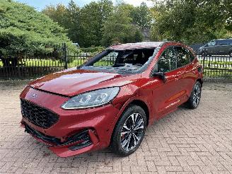 uszkodzony samochody osobowe Ford Kuga 1.5 2020/6