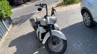 Harley-Davidson Heritage softtail special picture 9