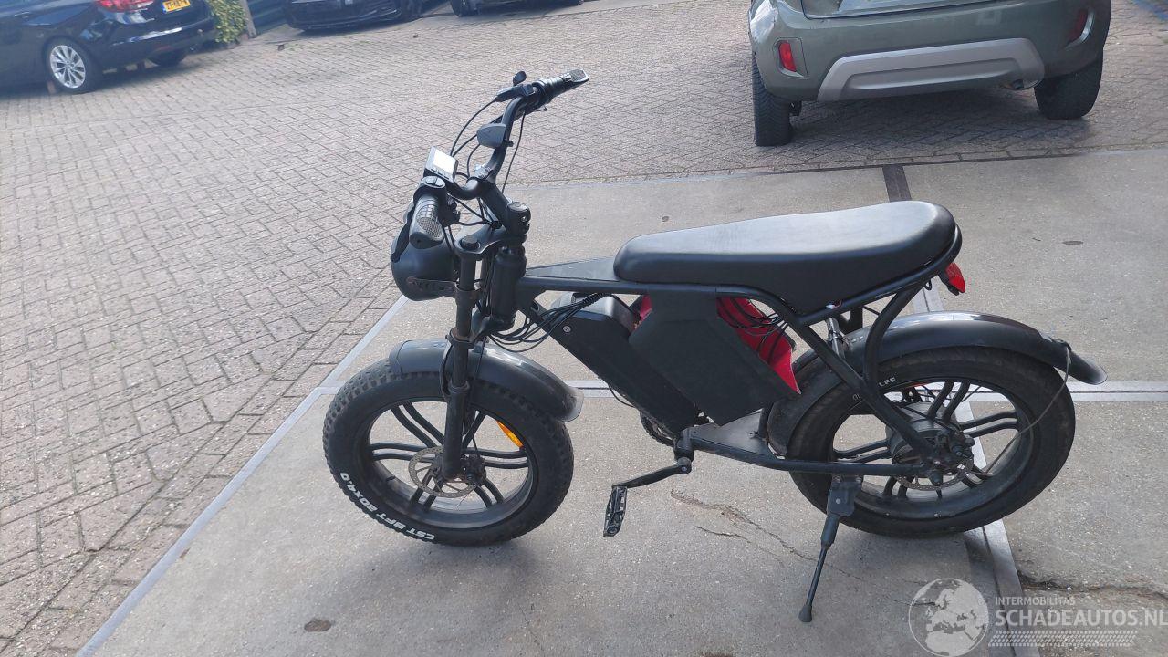 Allight  fatbike