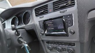 Volkswagen Golf 1.4 tgi  81kw  navi  clima picture 6