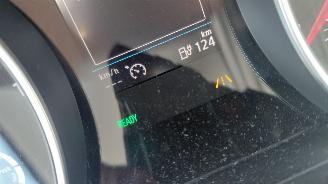 Volkswagen e-Golf 100kw clima  leer picture 10