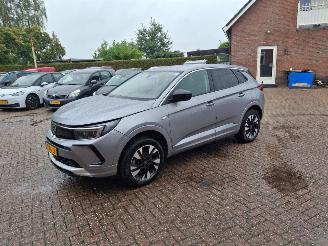 skadebil auto Opel Grandland 1.6 hybrid plug in     navi clima 2023/9