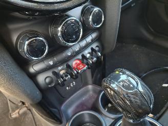 damaged passenger cars Mini Cooper 1.6i 184pk  works uitvoering  navi leer 2014/1