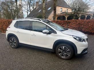 Peugeot 2008 1.2 puretech Allure AUT! navi pano camera picture 10