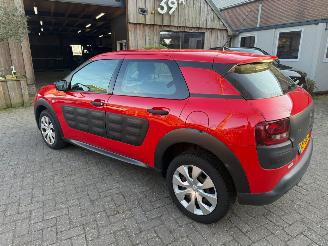 Citroën C4 cactus 1.2 AIRCO NAVI CRUISE NAP picture 9