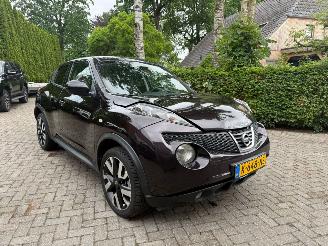 Nissan Juke 1.6 NAVI CAMERA LUXE 2013/4