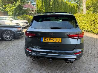 Cupra Ateca 2.0 TSI 300PK PANO BEATS picture 11