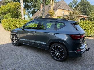 Cupra Ateca 2.0 TSI 300PK PANO BEATS picture 13