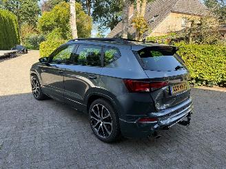 Cupra Ateca 2.0 TSI 300PK PANO BEATS picture 12