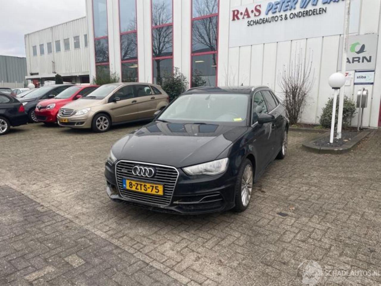 Audi A3 A3 Sportback (8VA/8VF), Hatchback 5-drs, 2012 / 2020 1.4 TFSI 16V e-tron