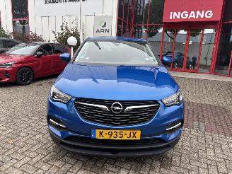 Avarii autoturisme Opel Grandland X 1.2 Turbo Business Edition GEEN SCHADE PROBLEEM TURBO 2021/1