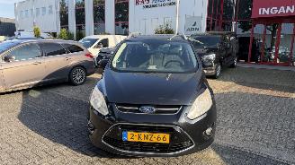 krockskadad bil auto Ford Grand C-Max 1.0 TITANIUM HAGELSCHADE 2013/6